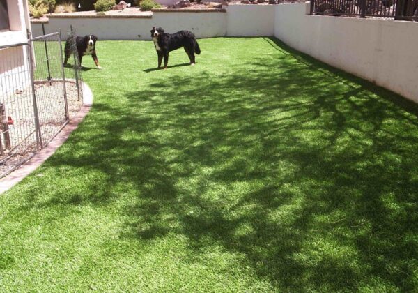 Artificial Grass Pet Turf Contractor San Diego